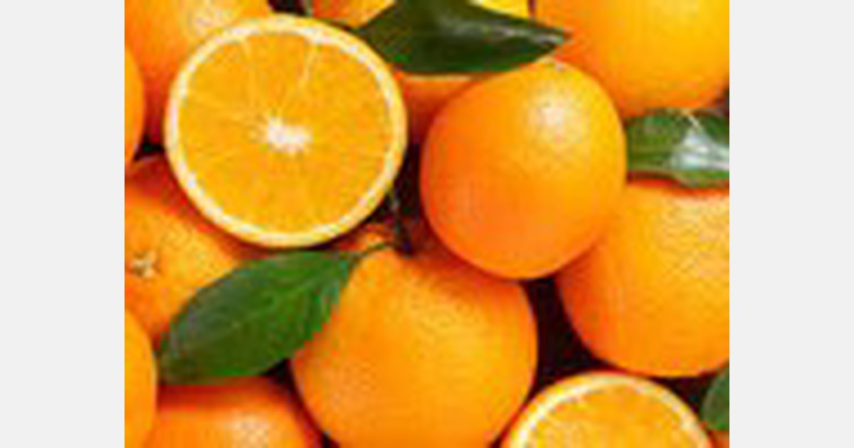 citrus growers get valuable resources