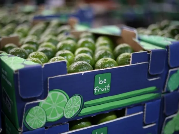 Lime demand and prices in Europe higher, but Brazil has lower supply”
