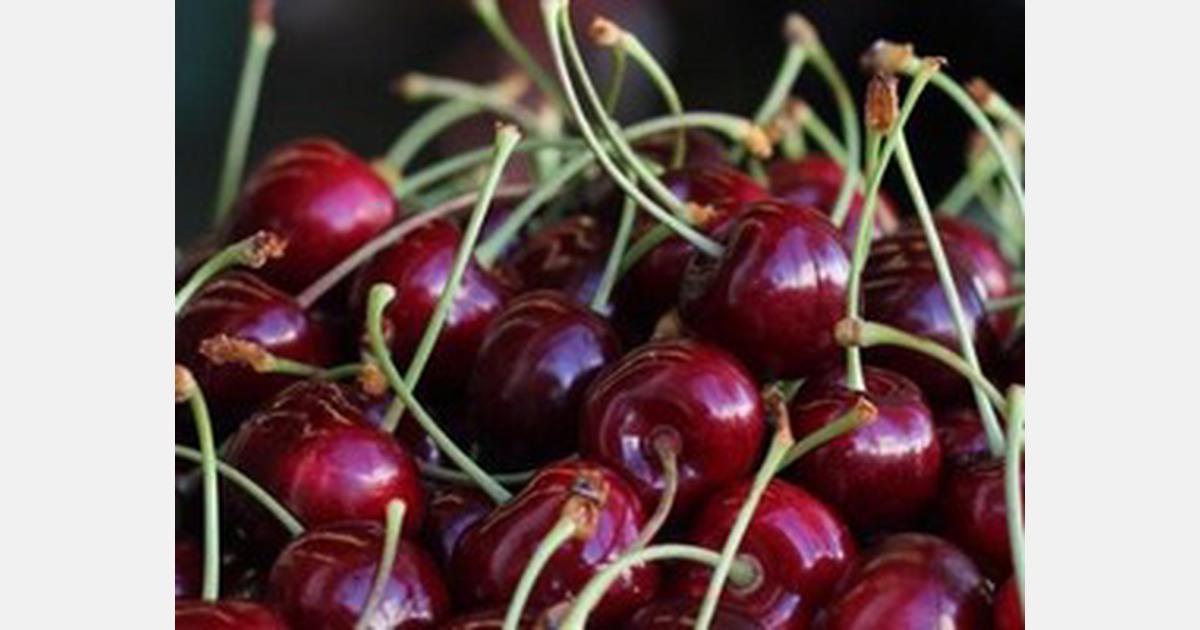 68 millions worth of Washington cherries heading from SeaTac airport