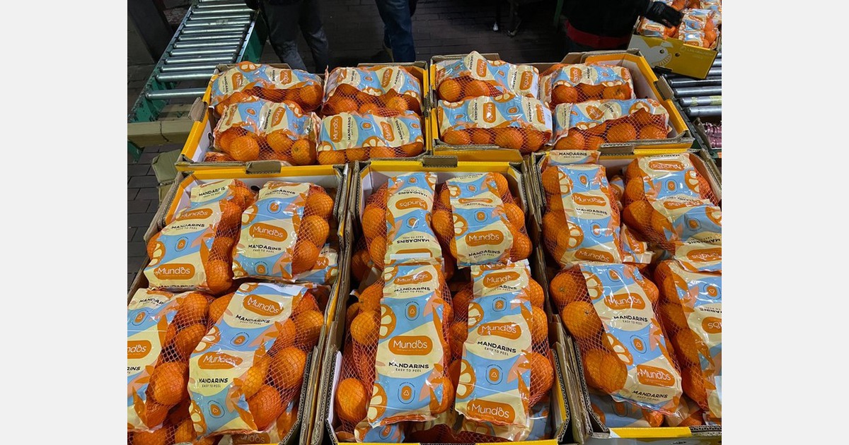 Fruit importer/exporter looks back on the first half of 2023