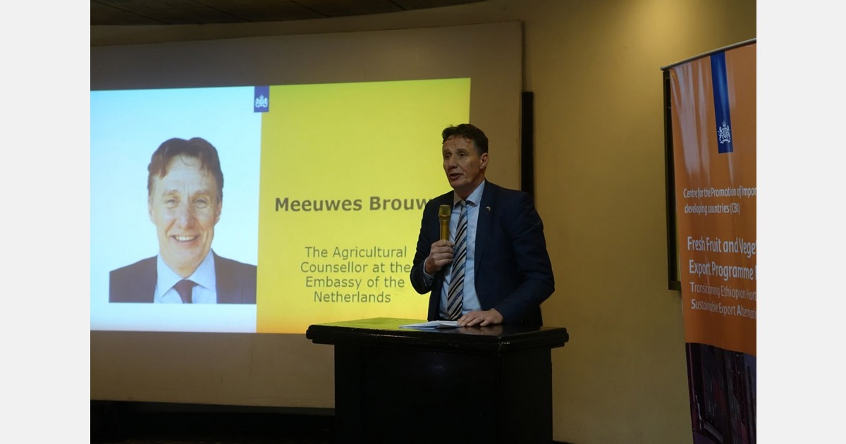 Ethiopian produce exporters supported by CBI to shift to sea-freight