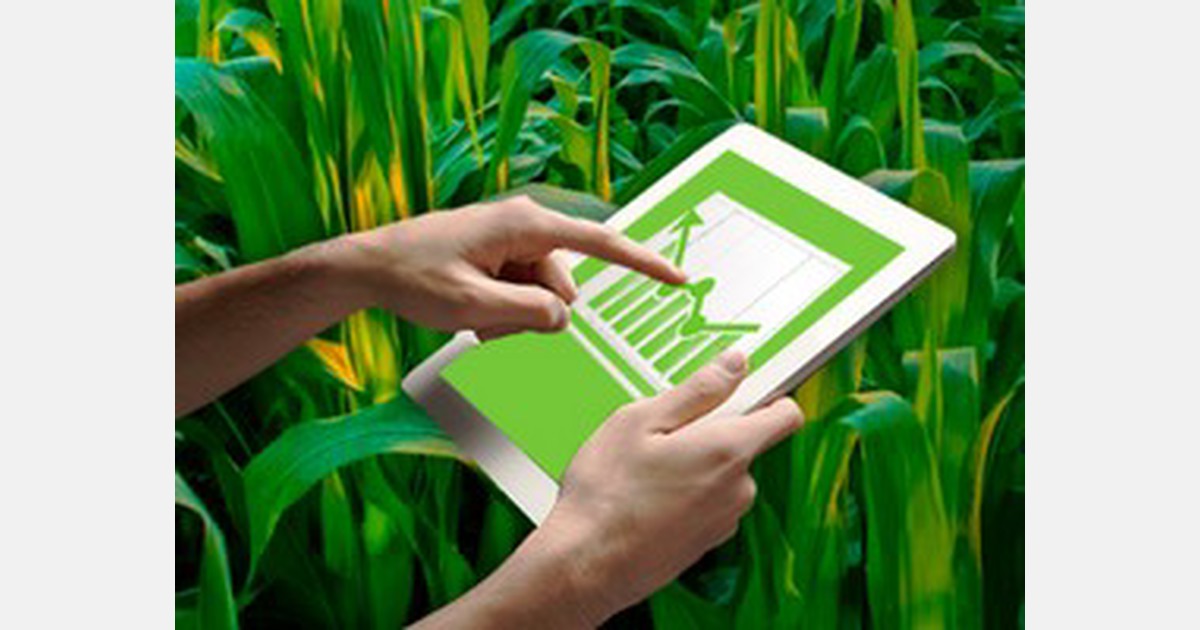 Egyptian research focuses on robotics and AI for crop management