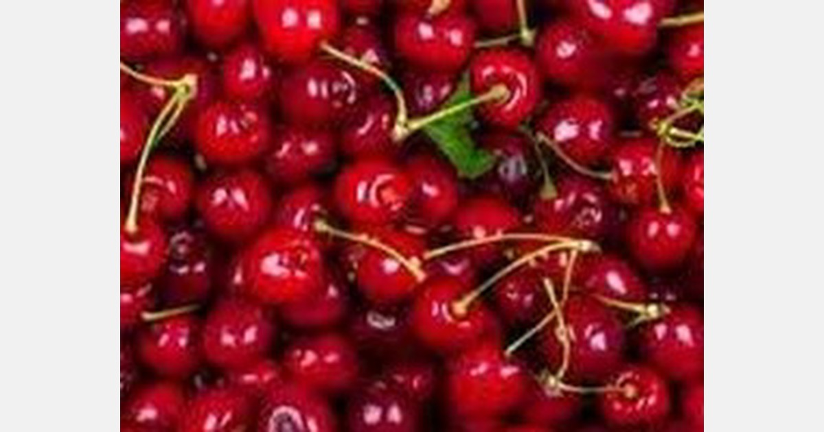 Prices of American cherries drop to new low in Vietnam