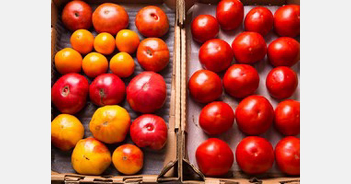 India to import tomatoes from Nepal amid price surges