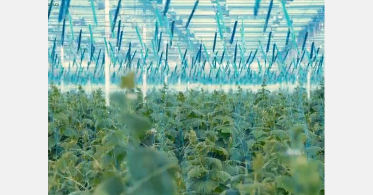 Digital orchard: A new technology to help food production