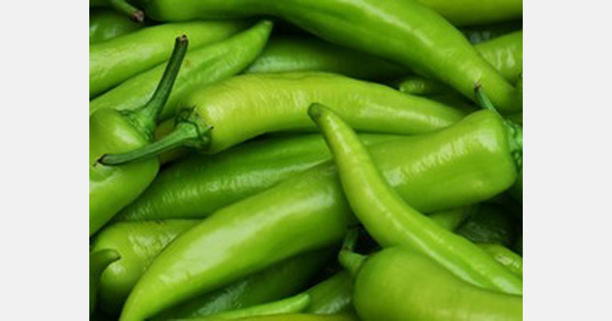 New Mexico heatwave might impact green chile harvest