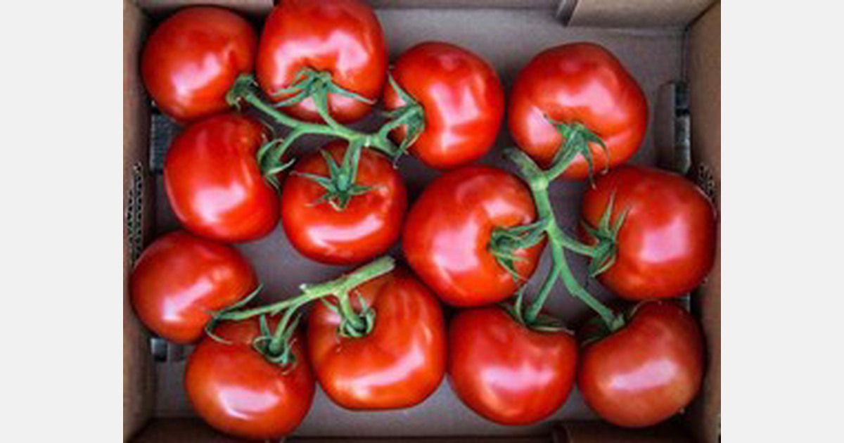 Vegetables&rsquo; contribution to India's retail inflation surged to a 42-month high in July