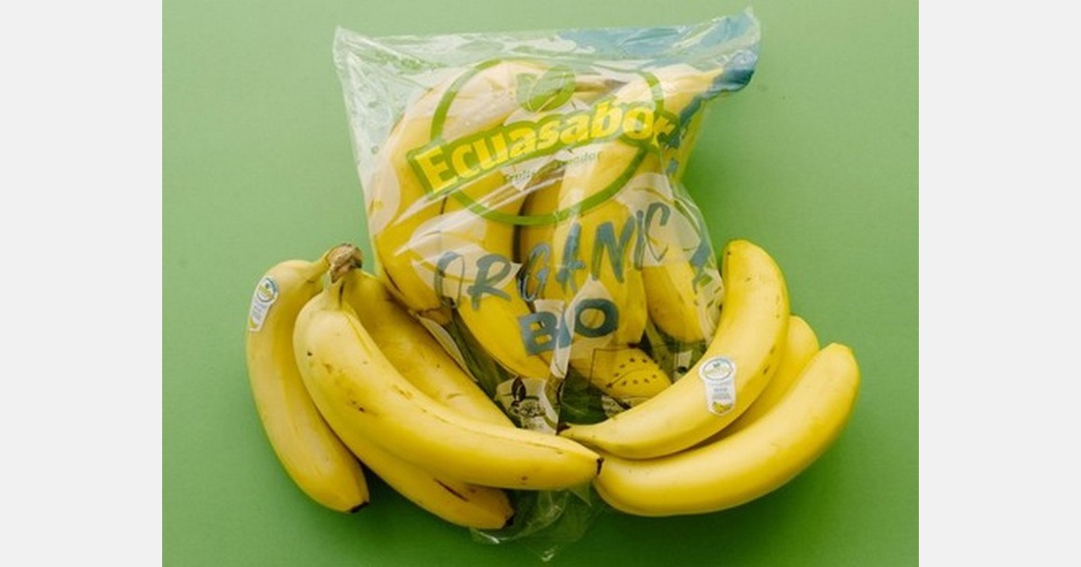 “Ecuadorian bananas to basis for Asian nutrition”