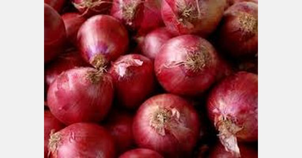 Onion buffer stock released for Azadpur Delhi to control prices