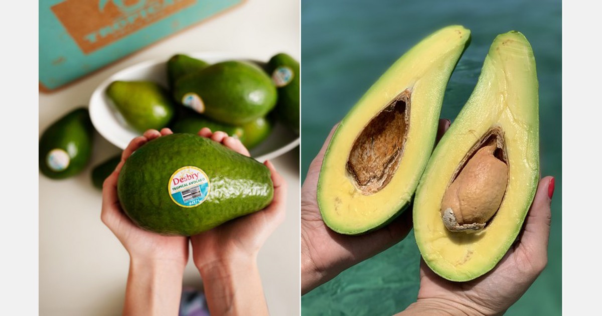 Tropical avocados offer alternative to the original avocado