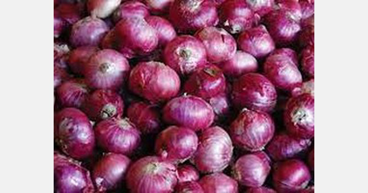 Onion farmers from Nueva Ecija, Pangasinan and Mindoro protest against