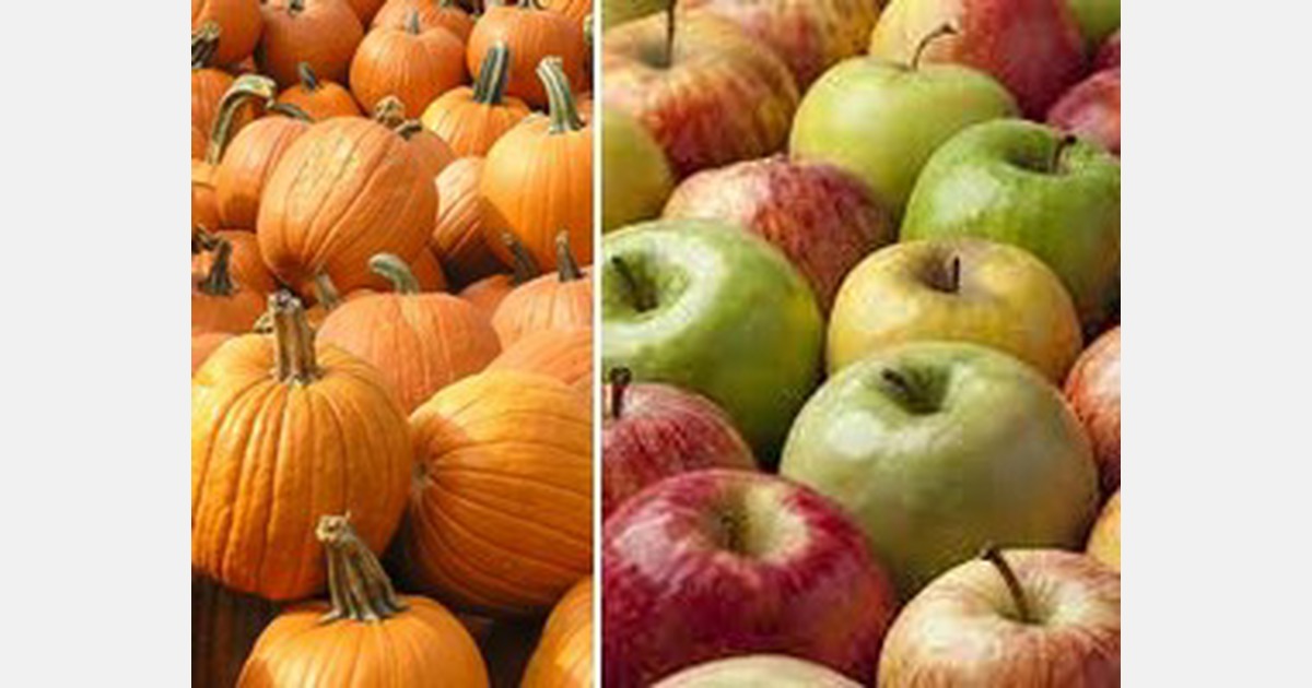 Drought raises concerns about Illinois apples and pumpkins in 2023