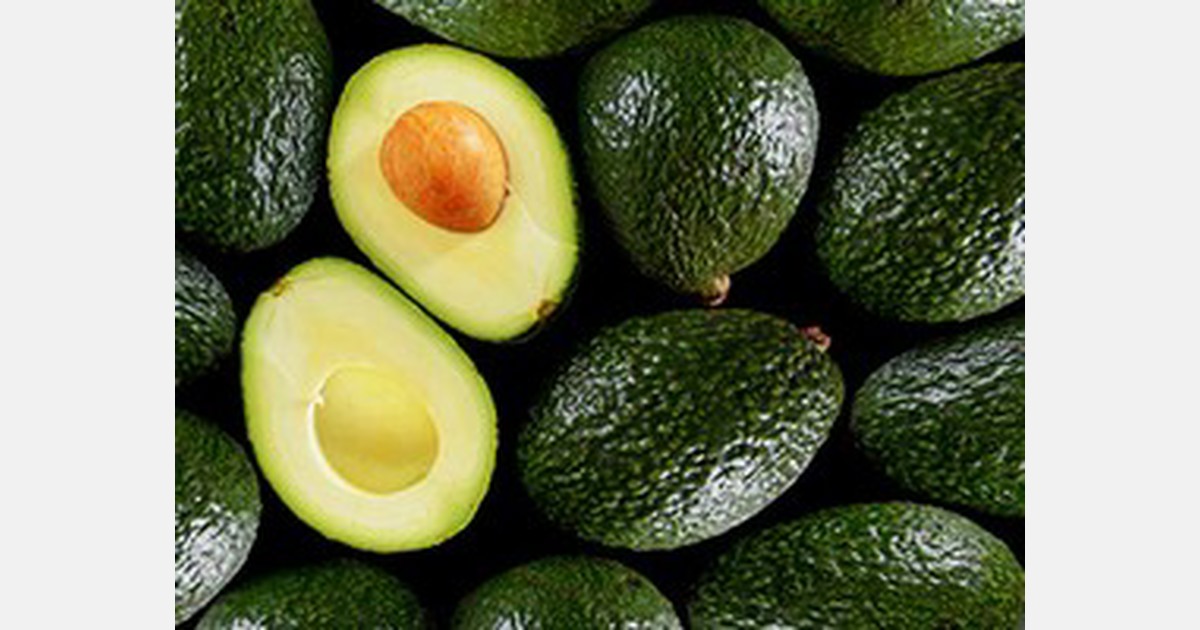 Filipino Hass avocados approved for export to South Korea
