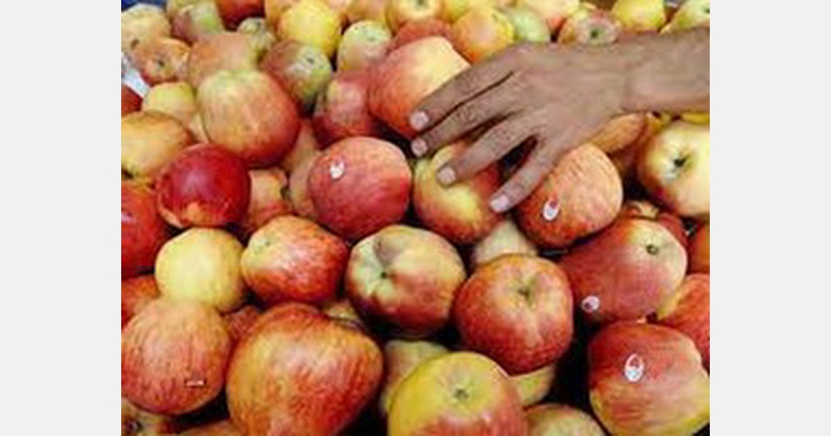 Apple farmers urge J&K Lieutenant Governor to restart MIS in Kashmir