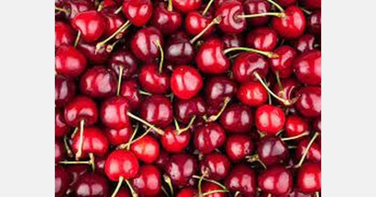 Chile estimated to export 100 million boxes of cherries