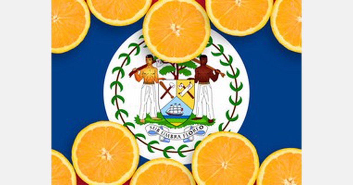 Historic high prices for oranges announced after meeting of citrus