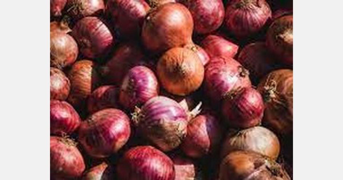Maharashtra govt steps up onion sales on e-NAM
