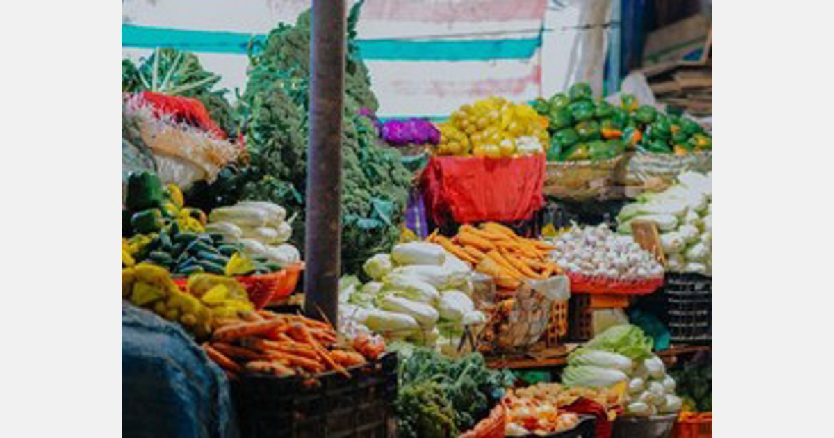 Benguet province growers concerned that imported produce is again displacing locally grown produce in Manila