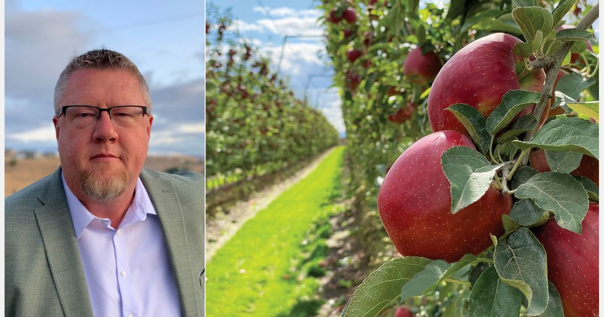 “Larger Washington apple crop offers opportunities”
