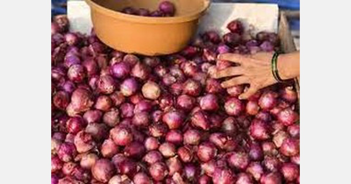 Onions to get pricier in Karnataka due to low yield