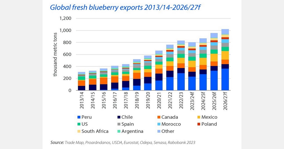 La industria mundial de las berries está preparada para crecer en los próximos años