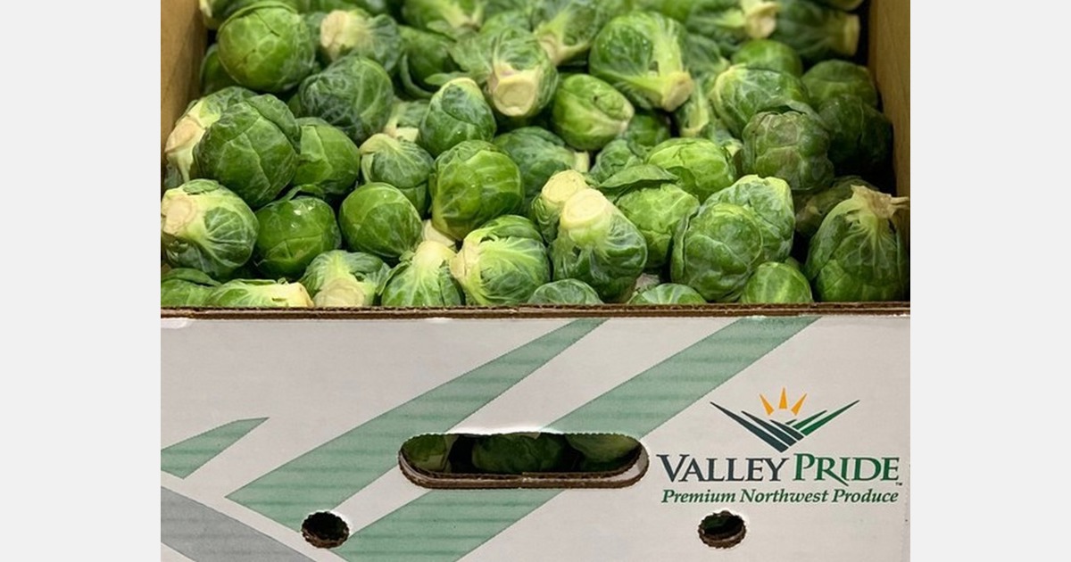 Strong pricing on shorter supply of Brussels sprouts