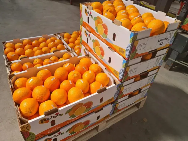 European Orange Crop to Decline - Citrus Industry Magazine