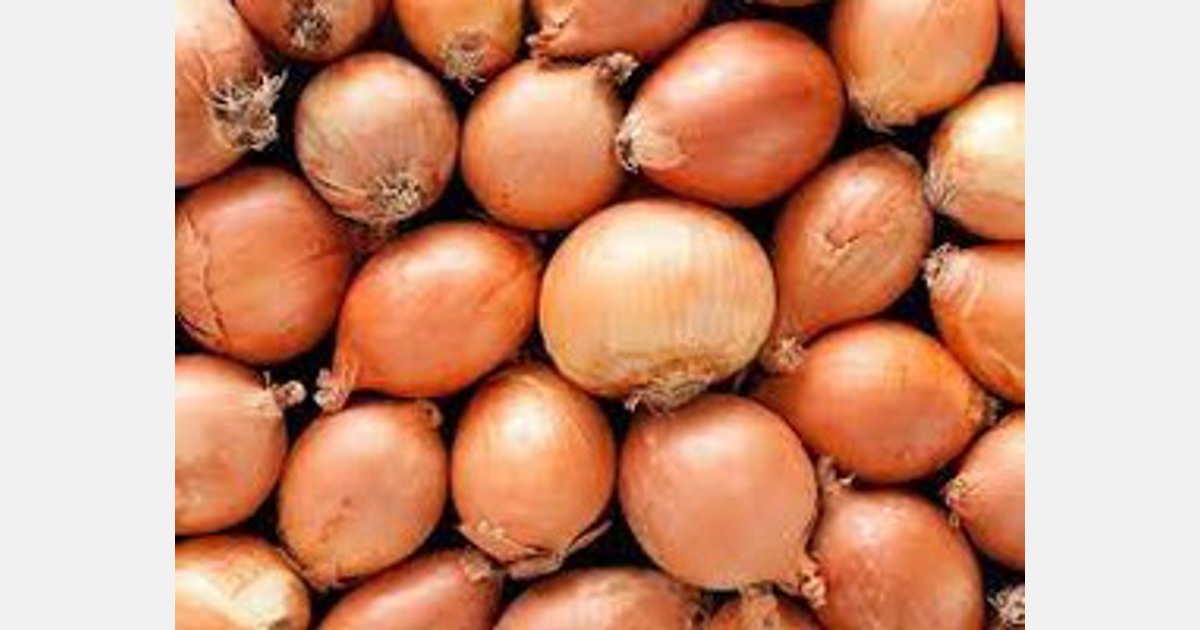 Fresh Onions and Shallots Market Beating Historical Challenges, What's Next