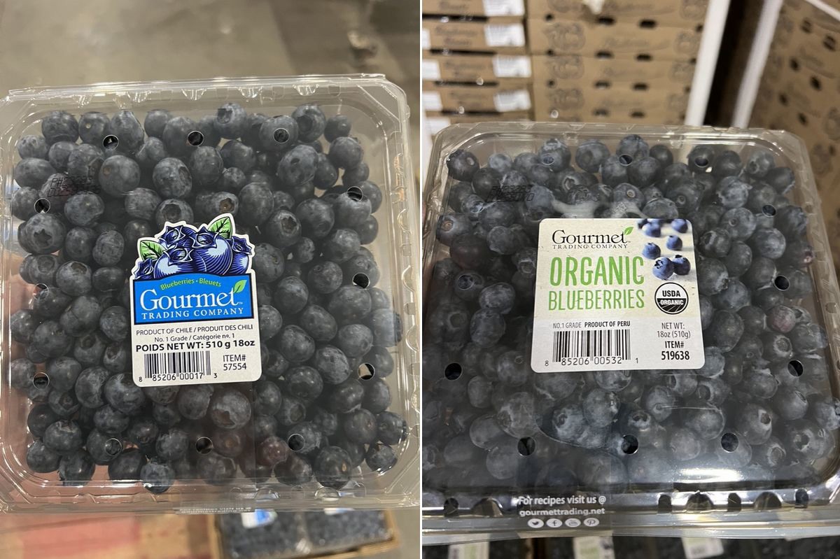 Blueberry prices are historically high