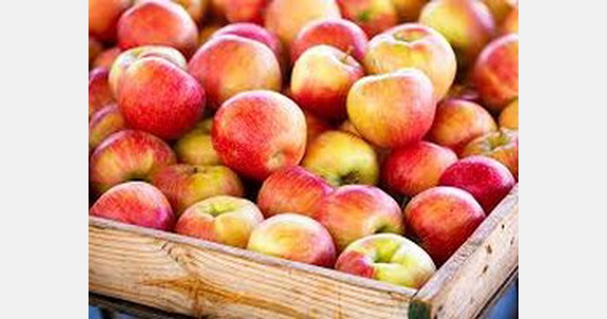 HPMC procures more than 32,000 tons of apples under Market Intervention Scheme 2023