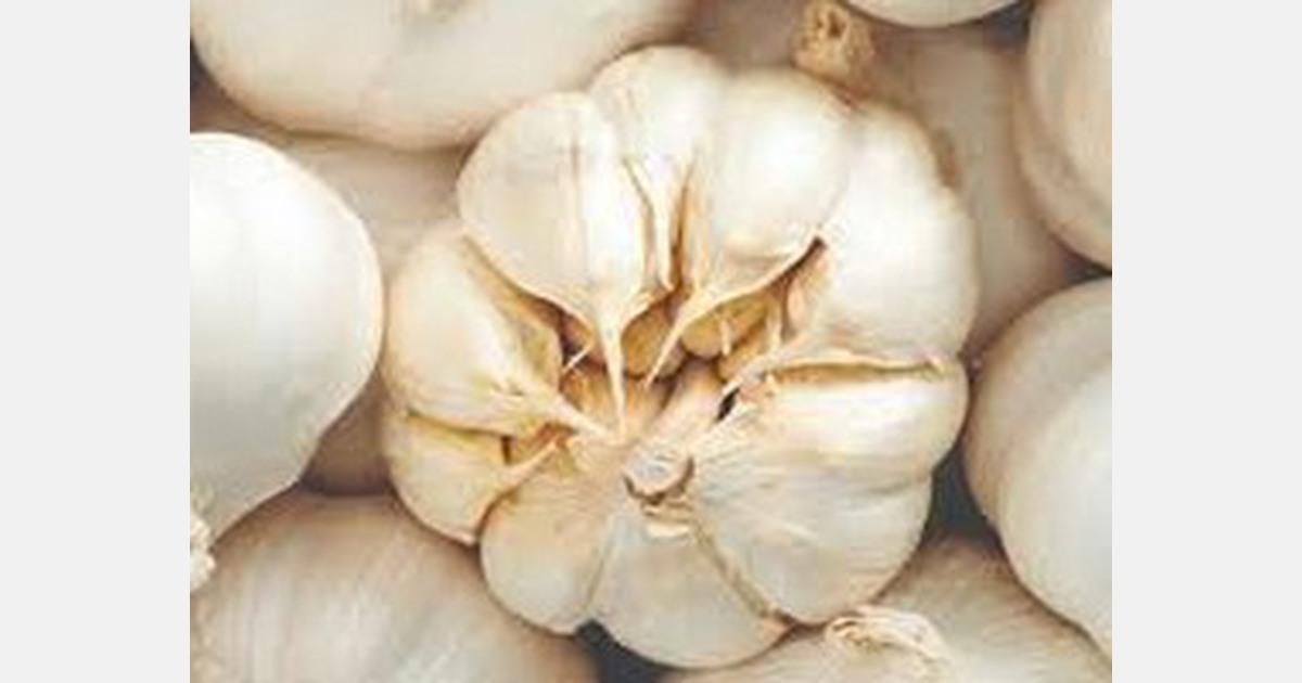 Bapanas to focus on the calculation of Indonesia’s garlic requirements