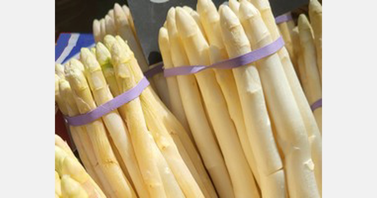 Tasmanian farmer wants to provide Australia with finest white asparagus