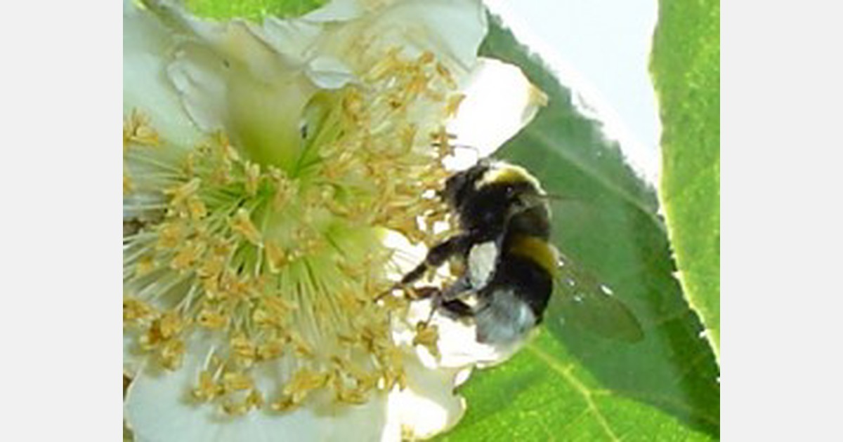 Researchers test sustainable bio-controls for food industry