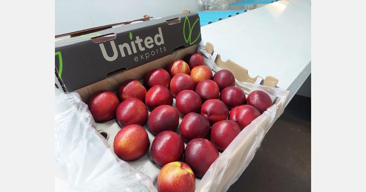 Very high demand from UK retail for early South African stone fruit