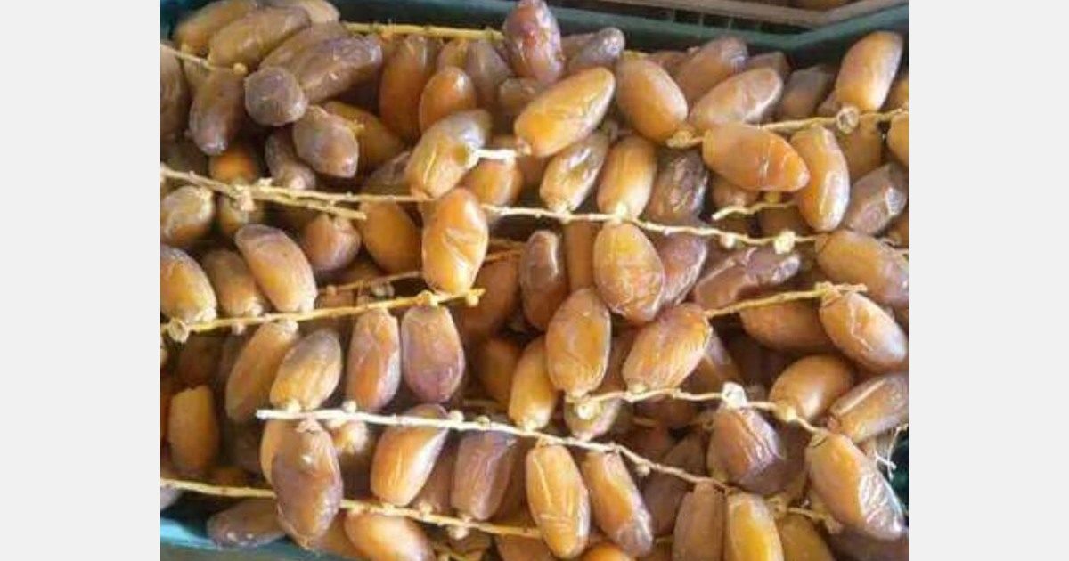 "Tunisian Deglet Noor stand out for their freshness"