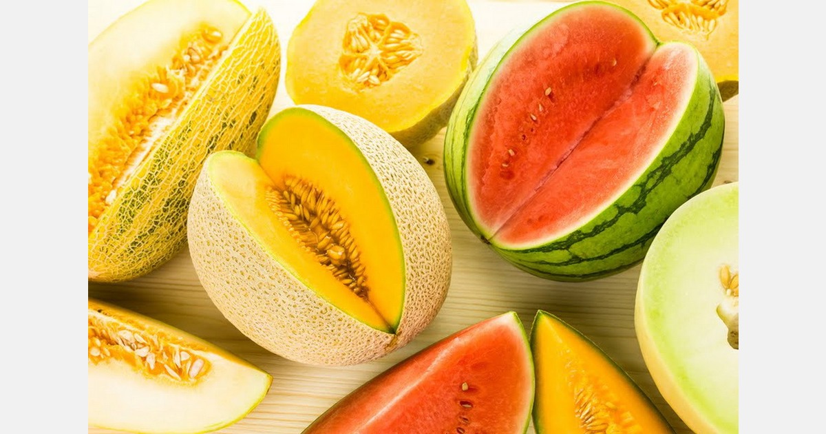 Egypt’s skyrocketing exports to Saudi Arabia in 2023