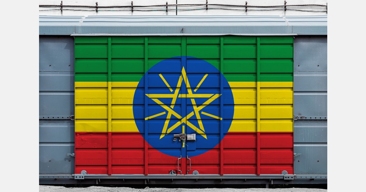 Ethiopia sees USD 169 million in revenues from horti exports