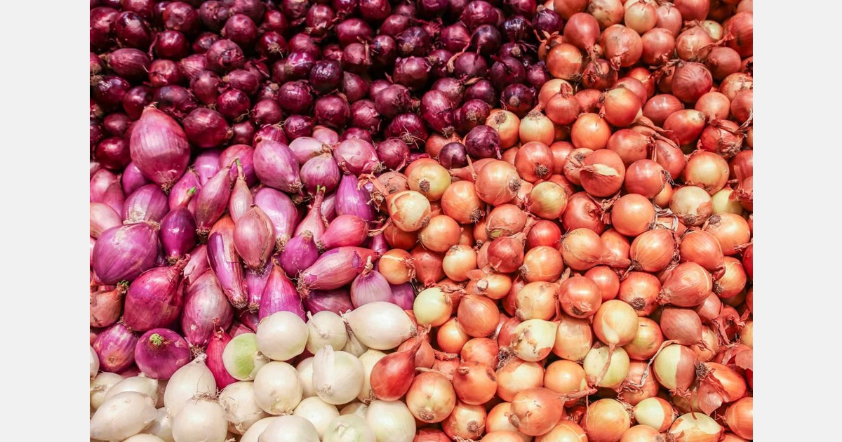 No suggested retail price for onions, despite high prices – FreshPlaza.com