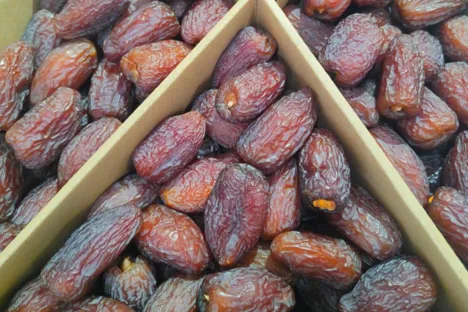 Medjool Dates - Dried Fruit - By the Pound 