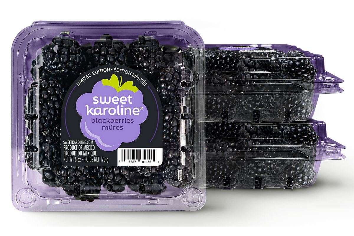 Sweet Karoline blackberries arriving late December