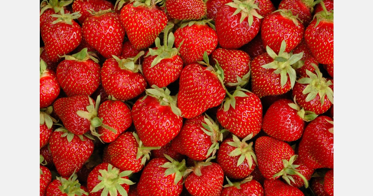 Strawberry prices up in NZ supermarkets ahead of Christmas