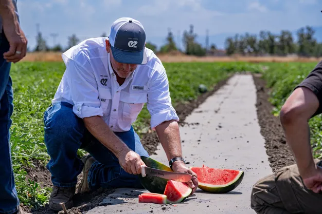 Breeding company releases more ‘refreshing’ watermelon varieties