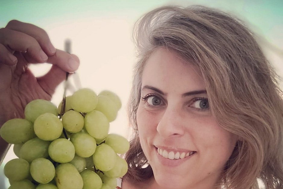 Chinese cherry price the reference for Chilean cherries in other markets