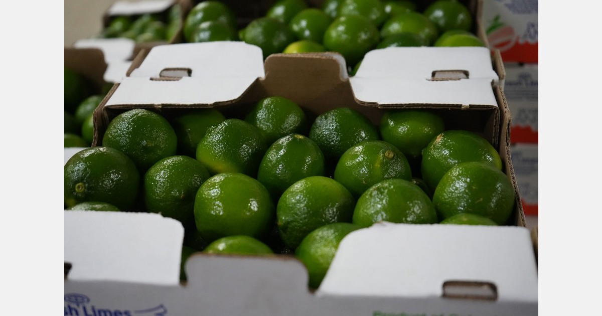 UK importer looks increase volumes of Colombian limes