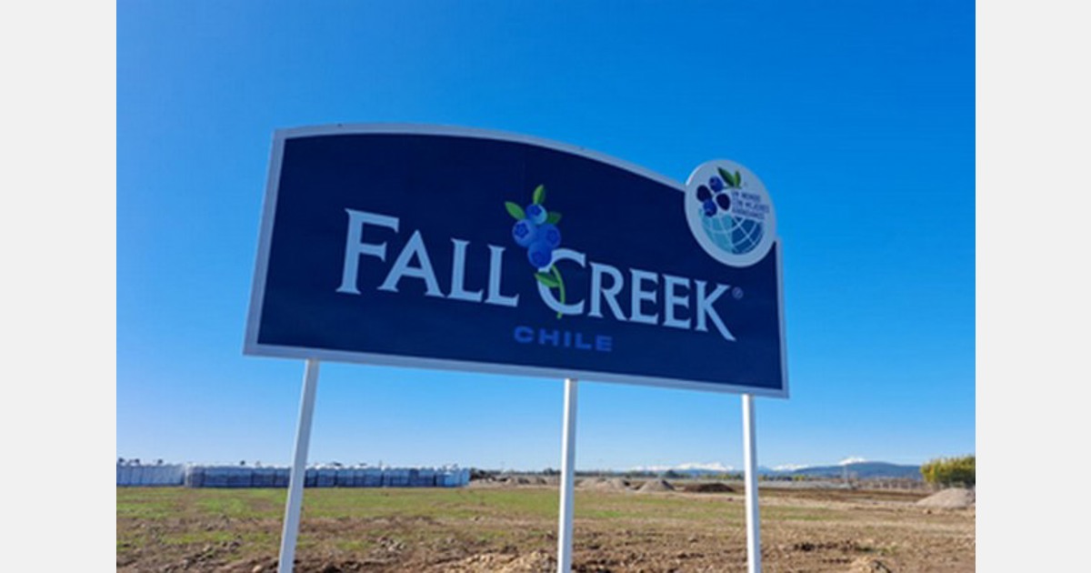 FallCreek quiere reactivar la industria del arándano en Chile