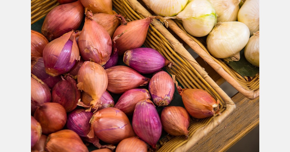 Senior Maharashtra ministers rush to Delhi over onion impasse