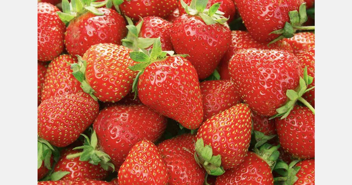 NZ strawberry prices have jumped in recent days