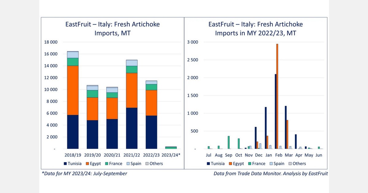 North African battle for the Italian artichoke market