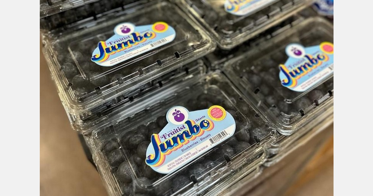 the Fruitist jumbo blueberries Review