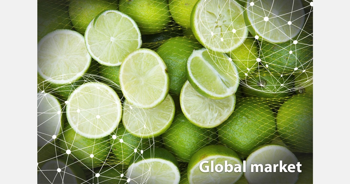 GLOBAL MARKET OVERVIEW LIMES